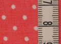 PB239000_m.JPG